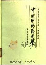 中国矿物药图鉴   1990  PDF电子版封面  7805136904  杨松年主编 