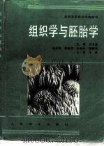 组织学与胚胎学   1997  PDF电子版封面  711702576X  石玉秀主编 