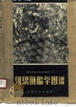 组织胚胎学图谱  第3版   1958  PDF电子版封面  14048·1448  南京医学院组织胚胎学教研组编 