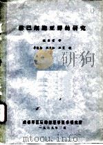 淋巴细胞亚群的研究   1979  PDF电子版封面    姬云堂译 