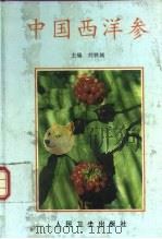 中国西洋参   1995  PDF电子版封面  7117022590  刘铁城主编 