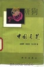 中国灵芝（1981 PDF版）