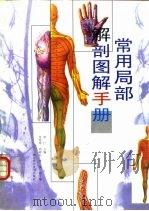 常用局部解剖图解手册（1998 PDF版）
