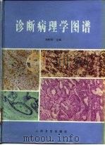 诊断病理学图谱   1998  PDF电子版封面  7117028556  刘彤华主编 