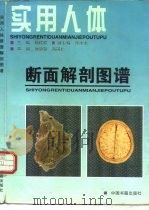 实用人体断面解剖图谱   1997  PDF电子版封面  7506806673  杨桂姣主编 