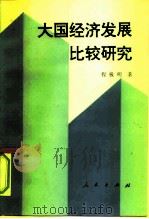 大国经济发展比较研究（1997 PDF版）