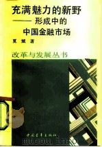 充满魅力的新野  形成中的中国金融市场   1987  PDF电子版封面  7500601387  夏斌著 