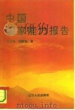 中国国家能力报告   1993  PDF电子版封面  7205027829  王绍光，胡鞍钢著 
