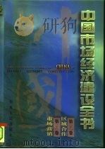中国市场经济建设全书  第11册（1996 PDF版）