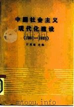 中国社会主义现代化建设  1981-1985   1987  PDF电子版封面  4001·602  于光远主编 