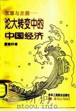 改革与发展  论大转变中的中国经济   1995  PDF电子版封面  7801001524  董辅礽著 
