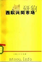 西欧共同市场   1973  PDF电子版封面  4171·26  《西欧共同市场》编写组编 