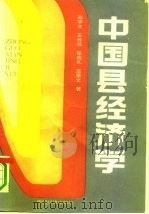 中国县经济学（1990 PDF版）