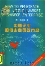 中国企业如何走向国际市场（1995 PDF版）