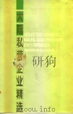 大陆私营企业精选（1991 PDF版）