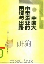 中国大中型企业的困境与出路   1993  PDF电子版封面  7500520441  栾涛，李正志主编 