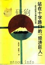 站在十字路口的“经济巨人”  成为经济大国后的日本（1988 PDF版）