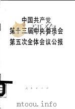 中国共产党第十三届中央委员会第五次全体会议公报（1989 PDF版）