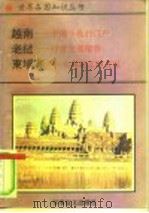 越南-中南半岛的门户   1995.05  PDF电子版封面  780027649X  赵忠才 