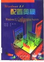 Windows 3.1配置奥秘   1995  PDF电子版封面  7505329642  （美）Valda Hilley，（美）James M. Bl 