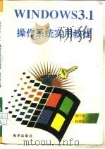 Windows 3.1操作系统实用教程   1993  PDF电子版封面  7502737456  徐汀荣主编 
