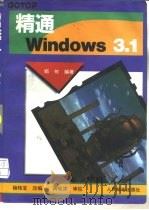 精通Windows 3.1（1994 PDF版）