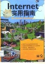 Internet实用指南   1996  PDF电子版封面  7505335162  （美）Bennett Falk著；胡希平等译 