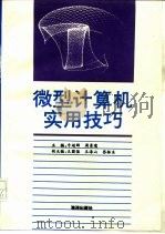 微型计算机实用技巧   1993  PDF电子版封面  7502725016  牛超群，周景璞主编 