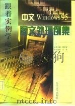 中文Windows 95图文处理例集   1997  PDF电子版封面  7810502271  孙燕编著 
