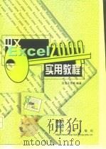 中文Excel 2000实用教程   1999  PDF电子版封面  7302036799  合力工作室编著 
