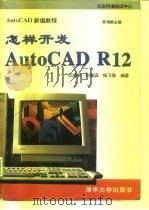 怎样开发AutoCAD R12（1995 PDF版）
