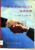 中西文Windows 3.1使用指南（1994 PDF版）