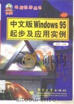 中文版Windows 95起步及应用实例   1998  PDF电子版封面  7505344250  林导主编 