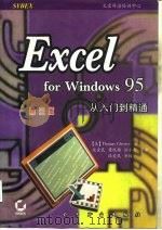 Excel for Windows 95从入门到精通  第3版   1996  PDF电子版封面  7505338099  （美）（T.切斯特）Thomas Chester著；段爱民等 