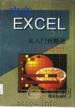 MS中文版EXCEL5.0从入门到精通   1995  PDF电子版封面  7536631618  王茂忠，王仕平编著 