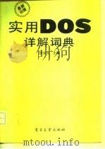 实用DOS详解词典   1992  PDF电子版封面  7505315250  徐宝文主编 