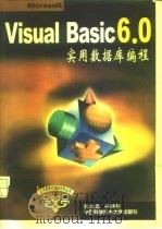 Visual Basic 6.0实用数据库编程   1999  PDF电子版封面  7312011160  张龙志等编著 