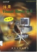 GOTOP 活用Visual Basic 5.0 中文版（1997 PDF版）