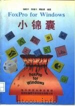 FoxPro for Windows小锦囊   1995  PDF电子版封面  7810430823  杨乾中等著 