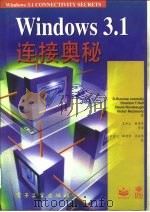 Windows3.1连接奥秘（1995 PDF版）