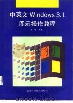 中英文WINDOWS 3.1图示操作教程（1994 PDF版）
