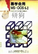 易学会用MS-DOS 6.2   1996  PDF电子版封面  7533713370  张红艳，杨俊安编著 