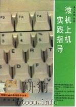 微机上机实践指导   1993  PDF电子版封面  7030035119  王路敬编著 