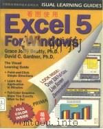 Excel5forWindows:TheVisualLearningGuide看图使用Excel5forWindows（1994年08月第1版 PDF版）