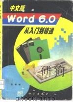 中文版Word 6.0从入门到精通   1996  PDF电子版封面  703005265X  陈朝编 