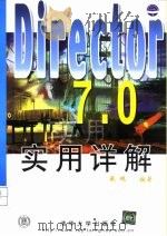 Director 7.0实用详解（1999 PDF版）