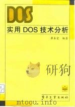 实用DOS技术分析（1996 PDF版）