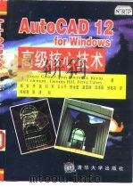 AutoCAD 12 for Windows高级核心技术   1995  PDF电子版封面  730201888X  （美）Rusty Gesner等著；杨钦等译 