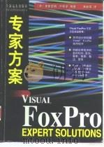 Visual FoxPro专家方案（1998 PDF版）