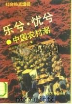 乐兮、忧兮  中国农村潮（1993 PDF版）